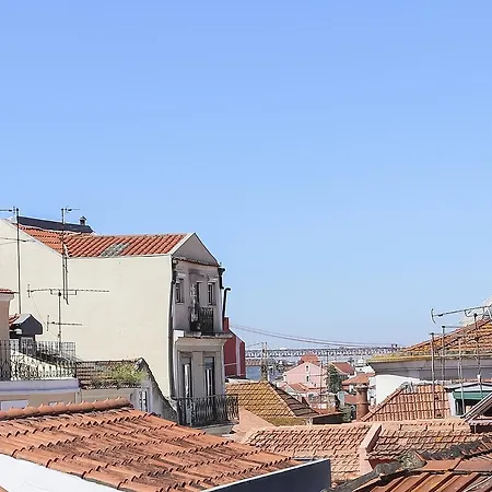 Santa Catarina Stylish By Homing *