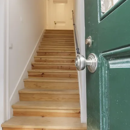 Santa Catarina Stylish By Homing *